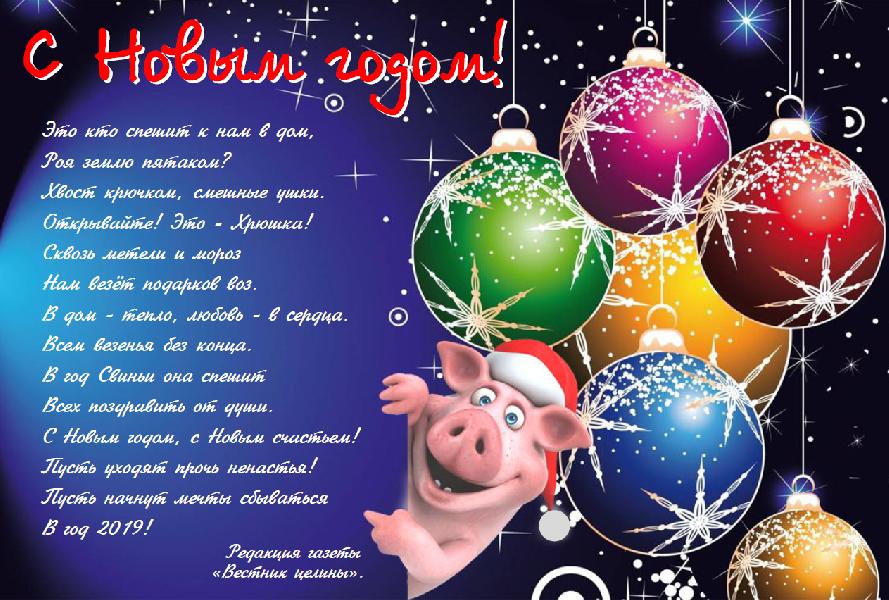 С 2019 годом, уважаемые жители Хабарского района!