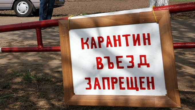 Новый очаг бешенства обнаружен в Алтайском крае: введён карантин