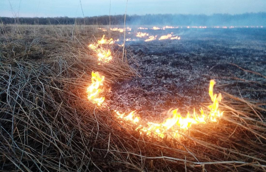 В Алтайском крае за прошедшие сутки ликвидировано 24 возгорания