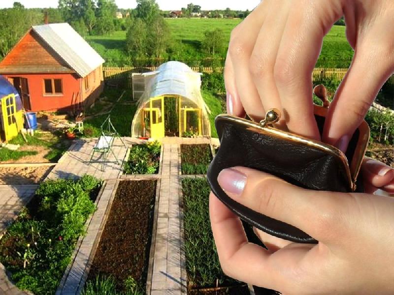УФНС России по Алтайскому краю разъяснила, в каких случаях теплицы и другие хозпостройки облагаются налогом