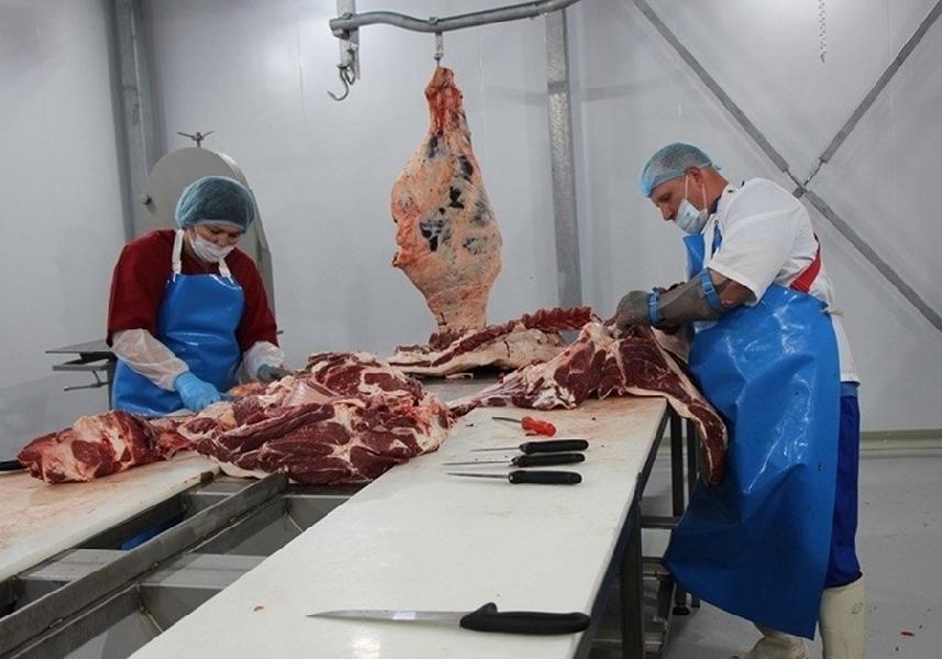 В Алтайском крае значительно выросли объемы производства мясных продуктов