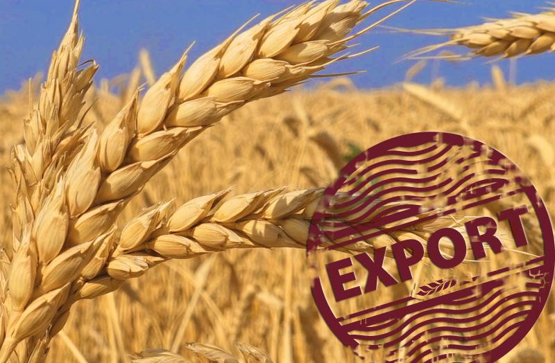 При экспорте зерна необходимо соблюдать требования стран-импортёров