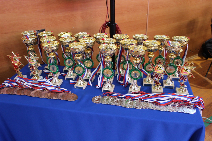 IV турнир по каратэ на Кубок Коротоякского элеватора