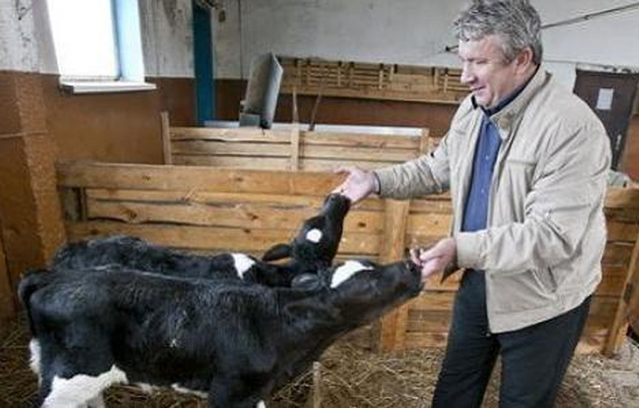 Аграрии Алтайского края получат гранты на развитие животноводческих ферм