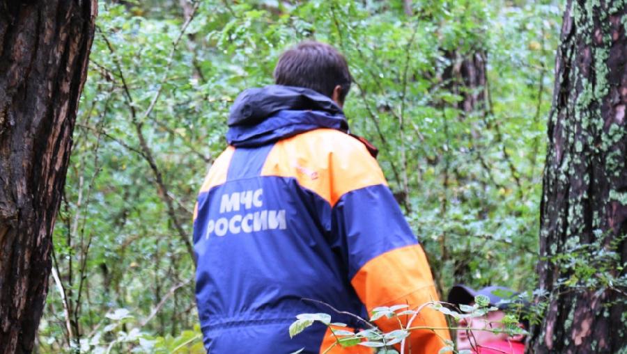 Почти сутки искали алтайские спасатели заблудившуюся в лесу женщину