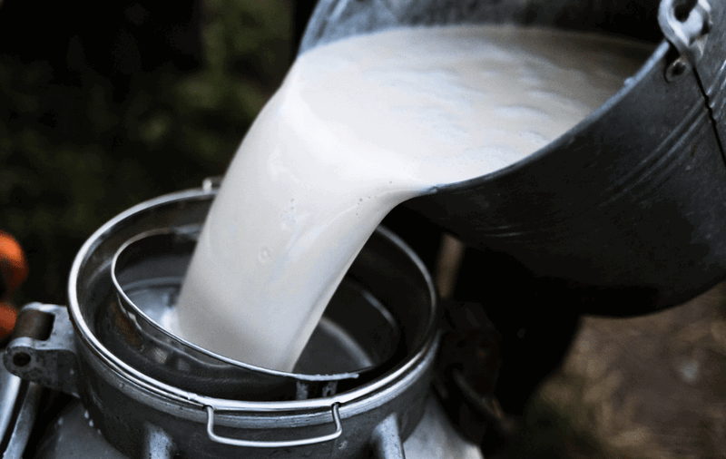 В Алтайском крае определили районы-лидеры по объёмам производства молока в первом полугодии 2019 года