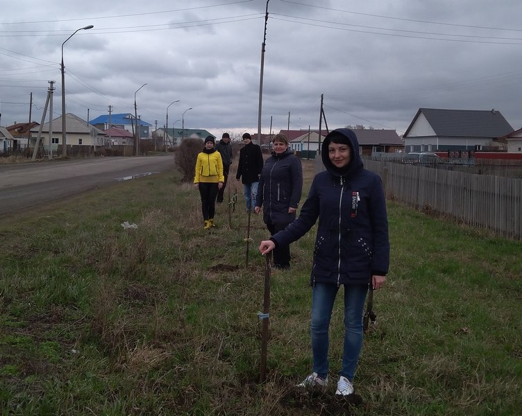 Сегодня в Хабарах посажена рябиновая аллея Росреестра