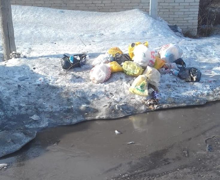Отдельные жители Хабаров превратили в помойку территорию за гаражами по улице Партизанской