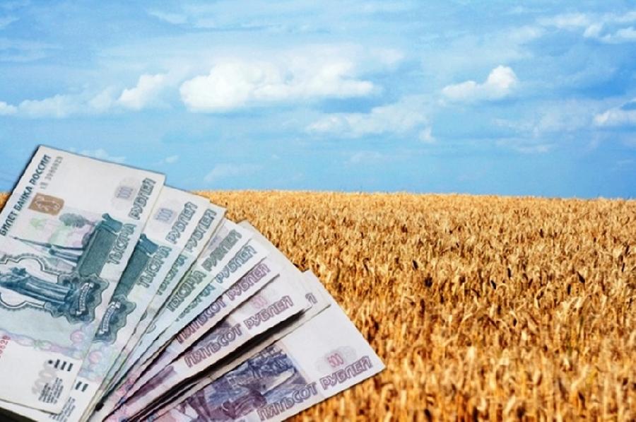 До 3 млн рублей для начинающих фермеров