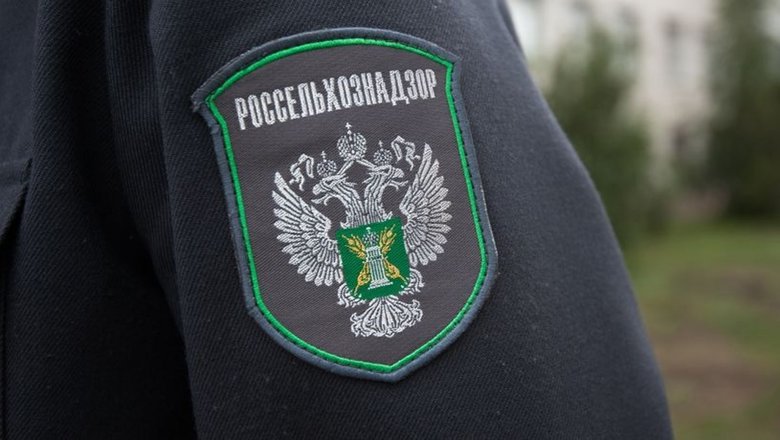 О результатах плановой проверки администрации Гришковского сельсовета Немецкого национального района Алтайского края О результатах плановой проверки администрации Гришковского сельсовета Немецкого национального района Алтайского края