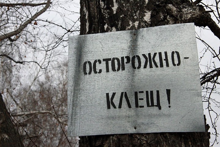 Активность клещей прогнозируют на конец марта