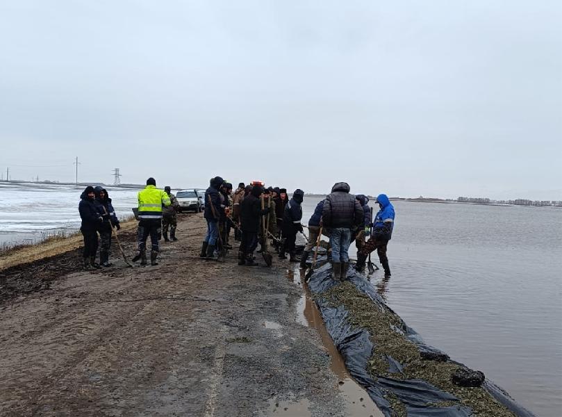 Оценят на месте ситуацию в подтопленных районах