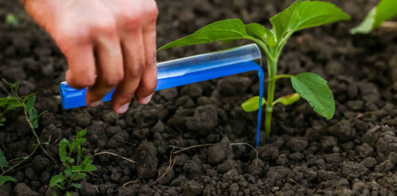 Государственный контроль в области безопасного обращения пестицидов и агрохимикатов осуществляет Россельхознадзор