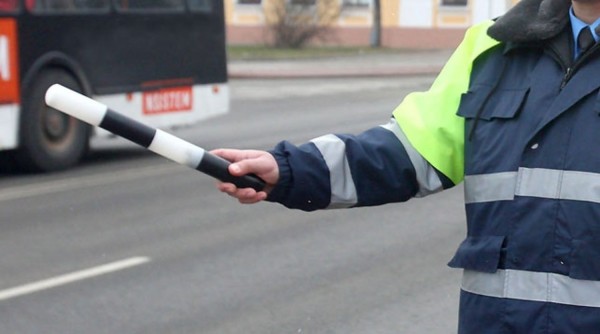 Жительница Алтайского края заплатит штраф за то, что укусила сотрудника ГИБДД