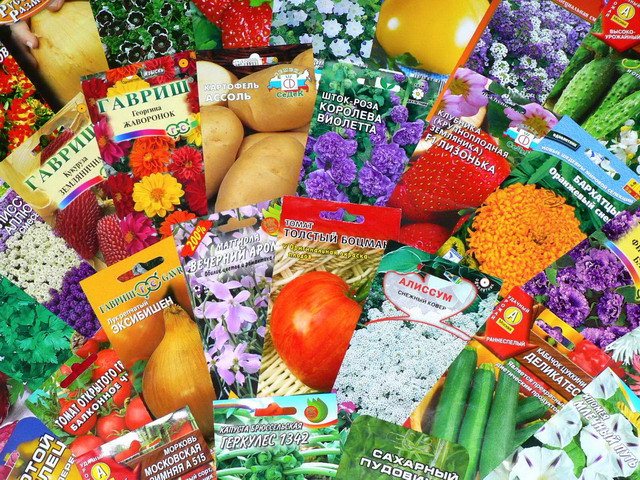 О маркировке и подтверждении качества семян в розничной торговле