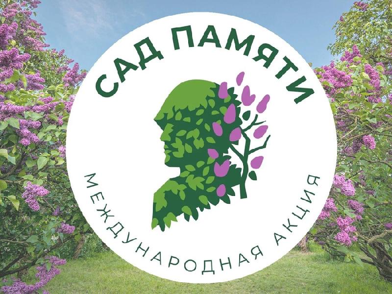 В рамках Международной акции «Сад памяти» в Алтайском крае в 2021 году высадят более 300 тысяч саженцев 
