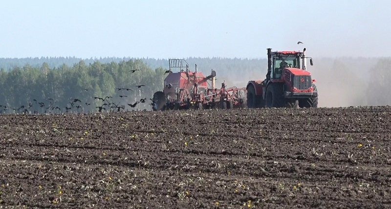 В Алтайском крае введён режим ЧС