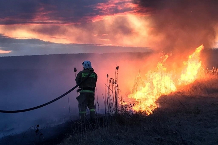 За последние сутки в Алтайском крае потушили 61 пожар 