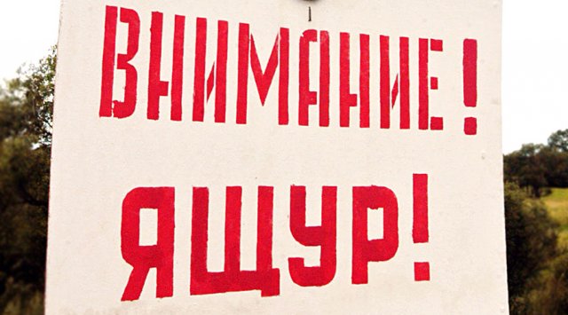 Ящур - особо опасная вирусная инфекция