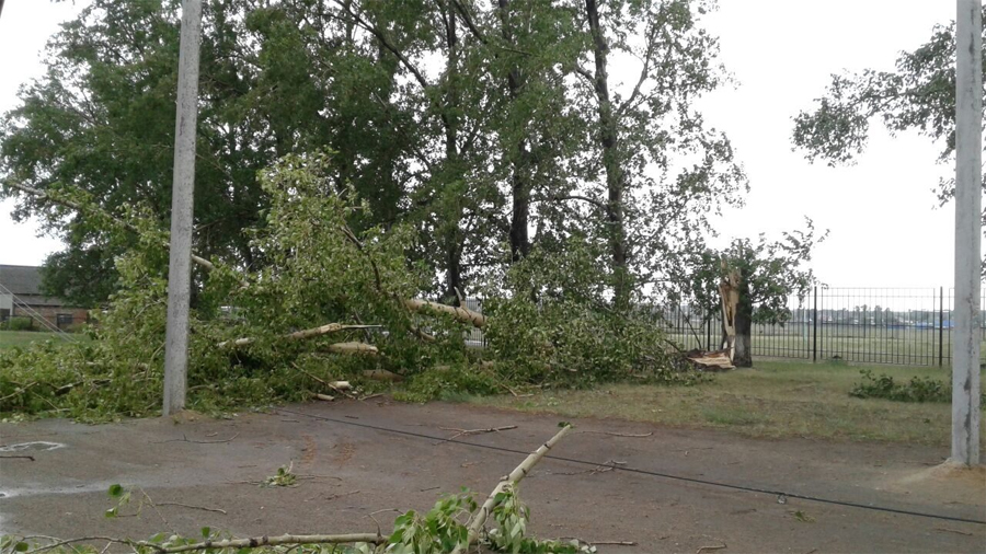 В Хабарах в результате штормового ветра повреждены оптоволоконные линии связи и линии электропередач