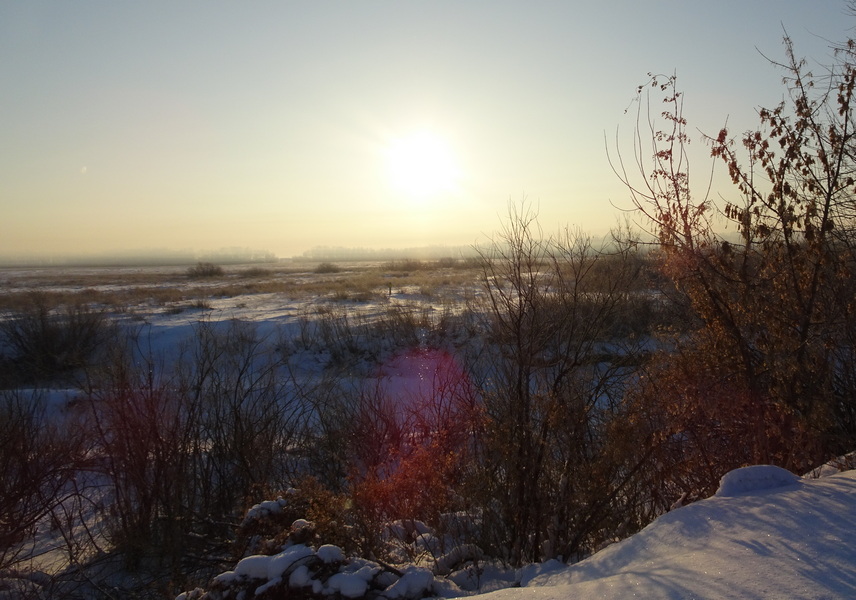 Синоптики рассказали, когда отступят аномальные морозы в Алтайском крае