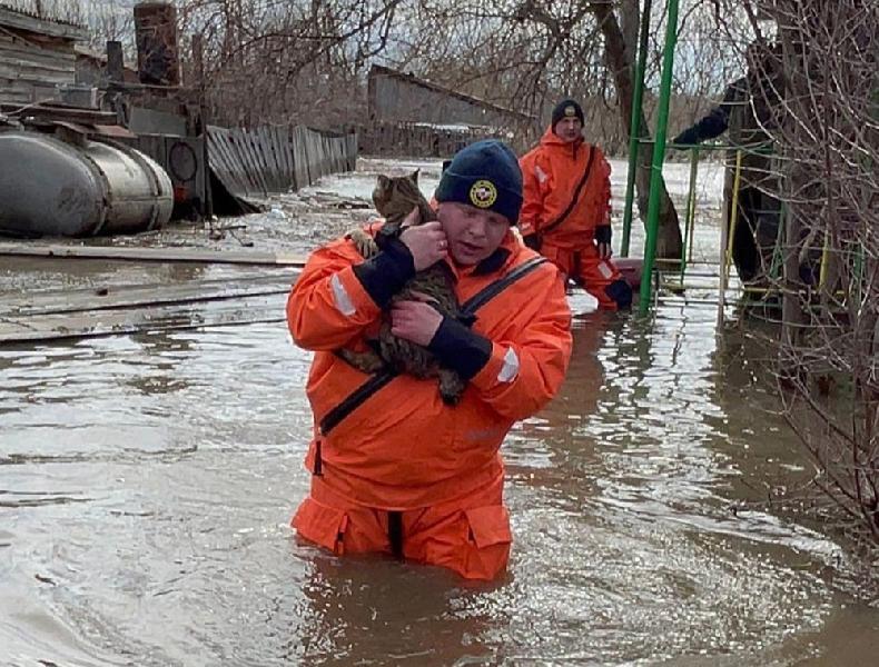 Пострадавшим от паводка жителям Алтайского края окажут материальную помощь