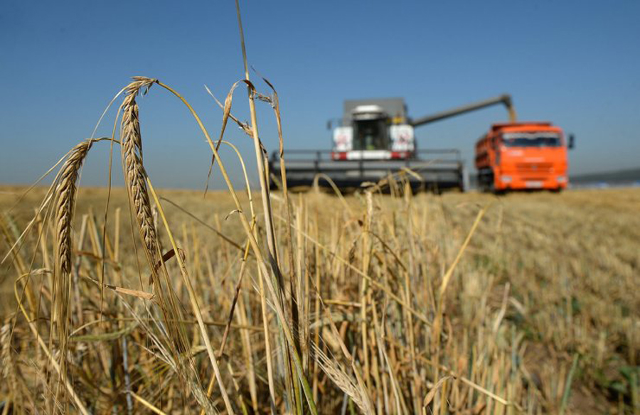 10 млрд не предел: Россельхозбанк на Алтае выдал рекордную сумму на АПК 10 млрд не предел: Россельхозбанк на Алтае выдал рекордную сумму на АПК