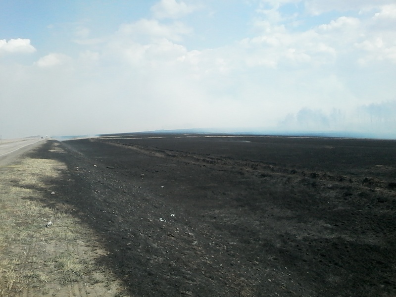 Сегодня в Хабарах загорелась свалка