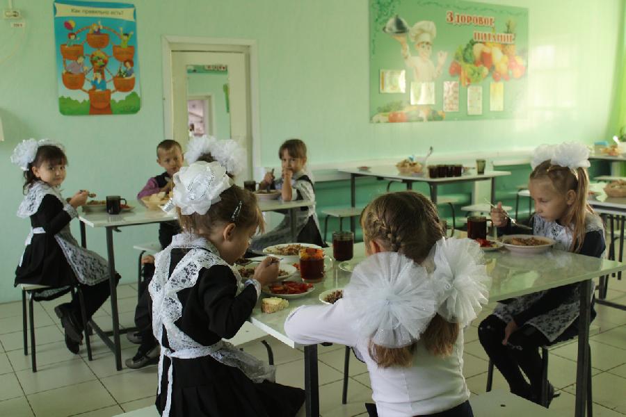 Младшие школьники Хабарского района получают бесплатное горячее питание