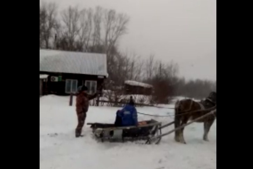 Врачи скорой помощи в Бийске пересели на коней из-за снегопада