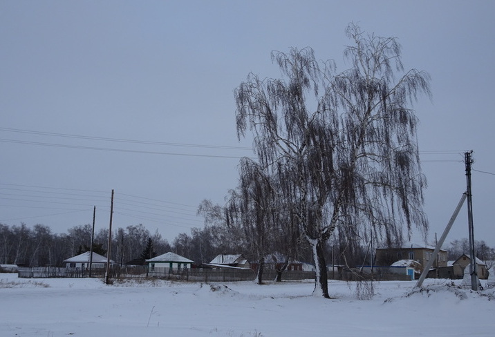 Мощный циклон несёт тепло за Урал и в Алтайский край