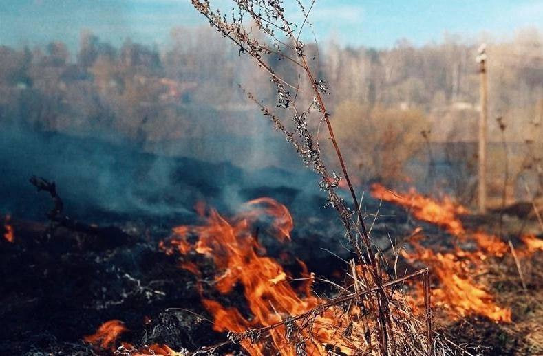Прежде чем поджигать сухую траву, подумайте о последствиях! Прежде чем поджигать сухую траву, подумайте о последствиях!