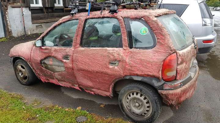 «Шерстяной» автомобиль заметили на улицах Барнаула