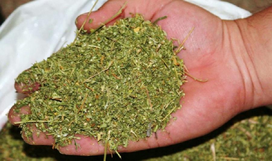 У жителя посёлка Целинный обнаружено 2 кг марихуаны