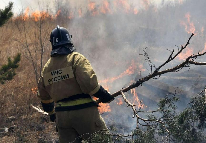 В Алтайском крае готовятся к пожароопасному сезону