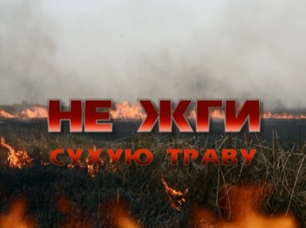 Не жгите сухую траву