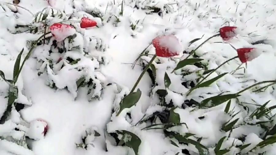 В Сибири жара, а на северо-западе России выпал снег