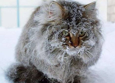 На выходных не потеплеет На выходных не потеплеет