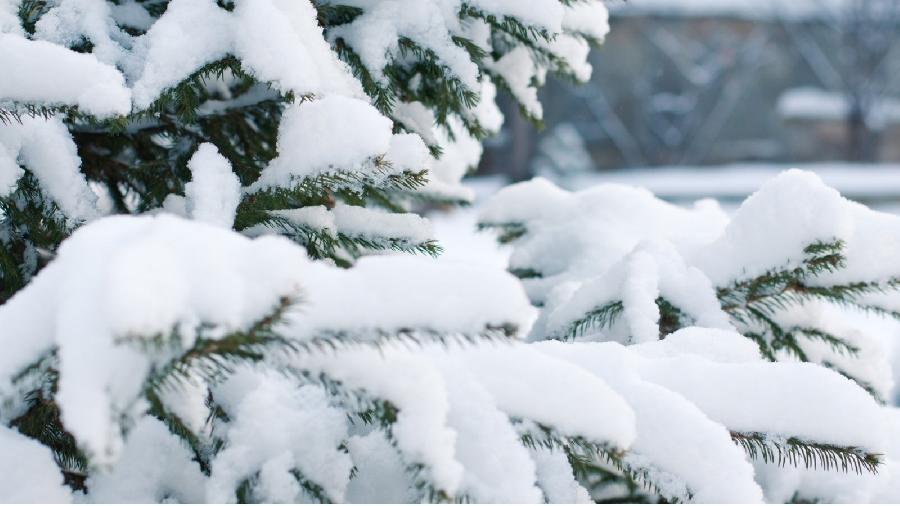 Небольшой снег: о погоде 3 декабря в Алтайском крае