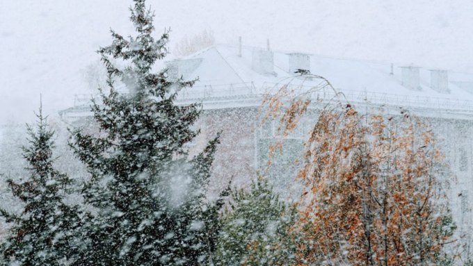 Какая погода будет в Алтайском крае в выходные 19 и 20 октября?
